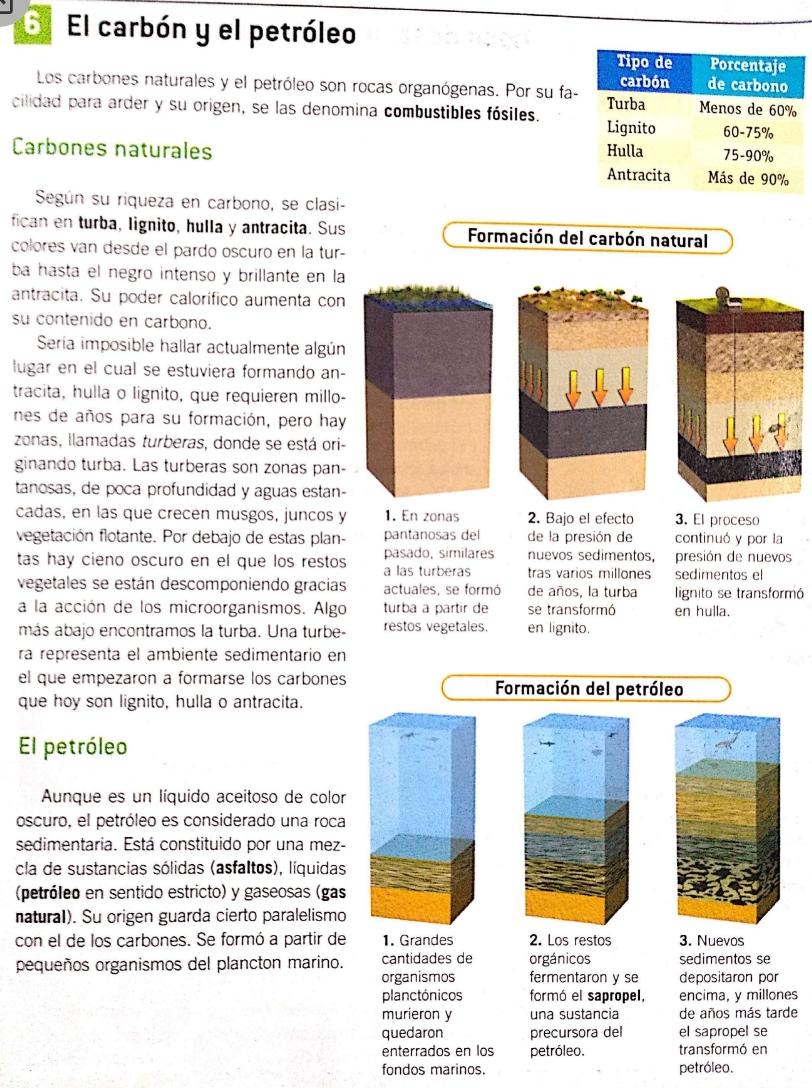 Texto El Carbón y el petróleo