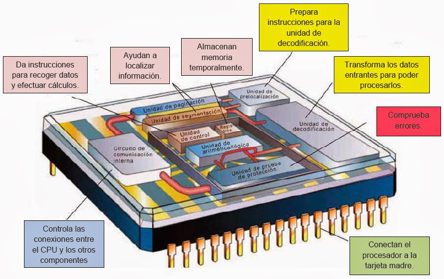 Unida central de procesamiento.