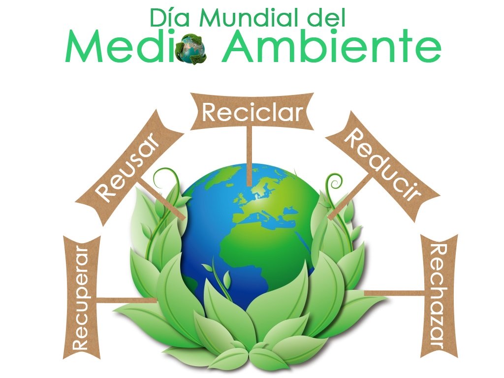 Día mundial del medio ambiente 