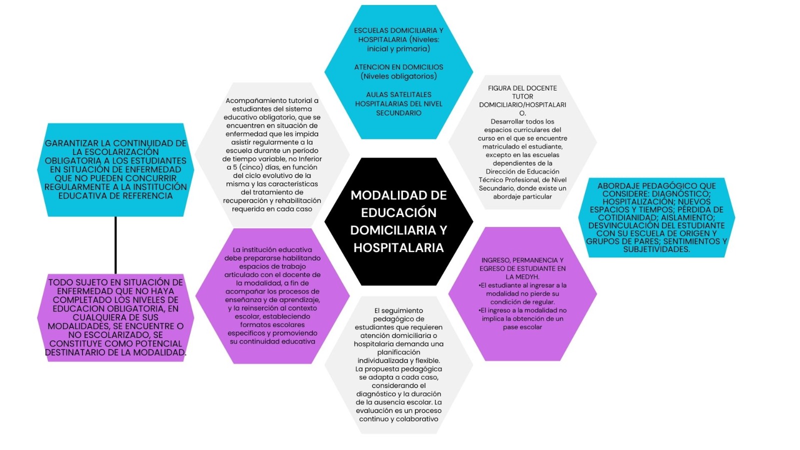 En este gráfico se representan los lineamientos generales de la Modalidad de Educación Domiciliaria y Hospitalaria.