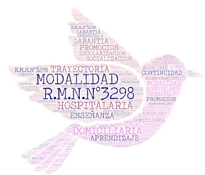 Es una paloma donde abarca todo sobre la modalidad domiciliaria y hospitalaria como asi tambien la resolucion y las palabras