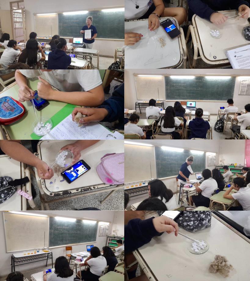 Secuencia de Electrostática desarrollada en el aula